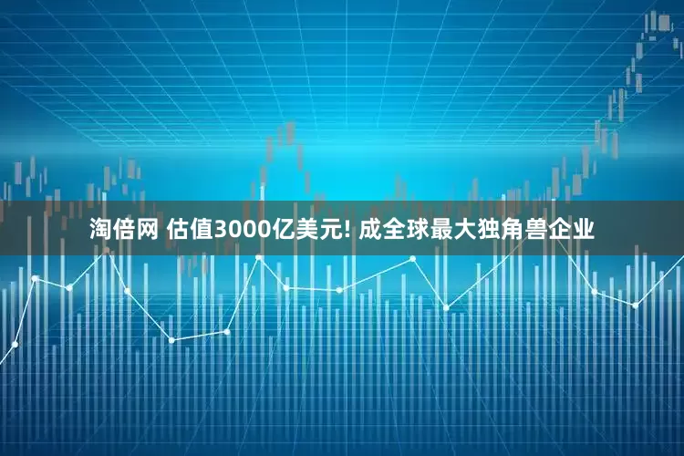 淘倍网 估值3000亿美元! 成全球最大独角兽企业