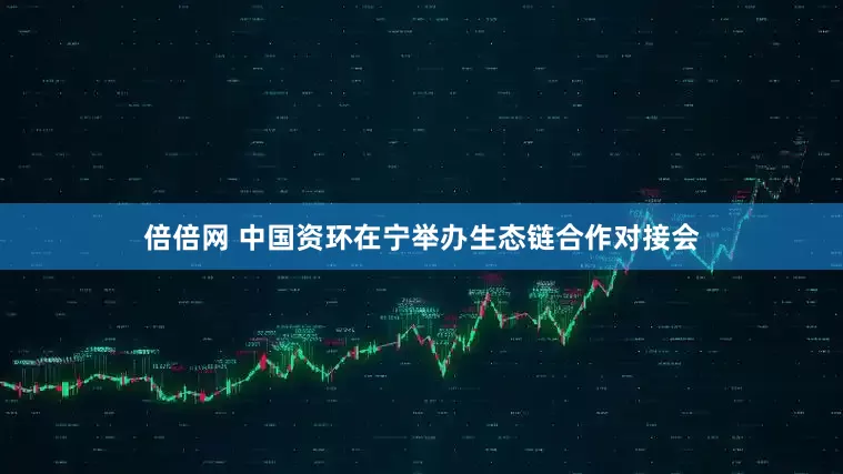 倍倍网 中国资环在宁举办生态链合作对接会