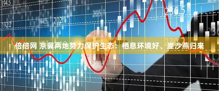 倍倍网 京冀两地努力保护生态：栖息环境好、崖沙燕归来