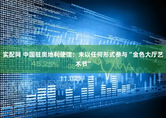 实配网 中国驻奥地利使馆：未以任何形式参与“金色大厅艺术节”