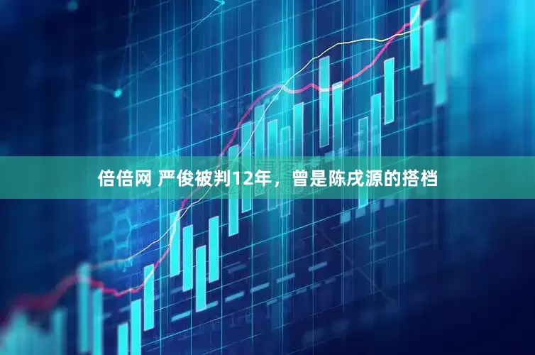 倍倍网 严俊被判12年，曾是陈戌源的搭档