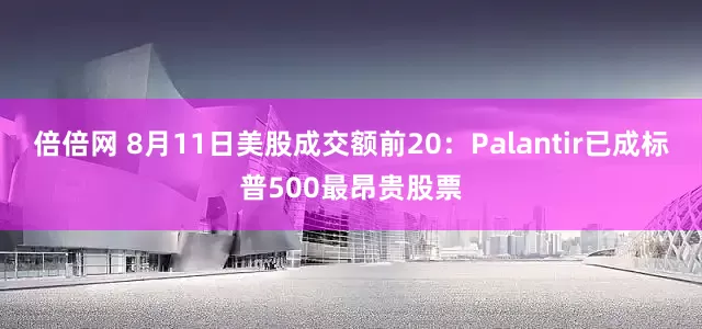 倍倍网 8月11日美股成交额前20：Palantir已成标普500最昂贵股票