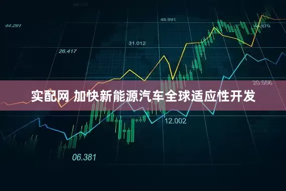 实配网 加快新能源汽车全球适应性开发
