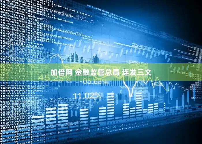 加倍网 金融监管总局 连发三文