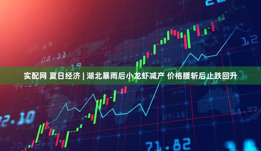 实配网 夏日经济 | 湖北暴雨后小龙虾减产 价格腰斩后止跌回升